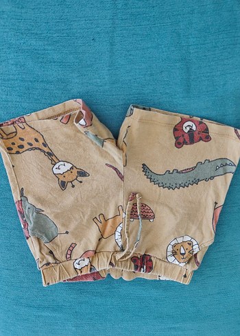 Erkek Çocuk Şortu - Görsel 5