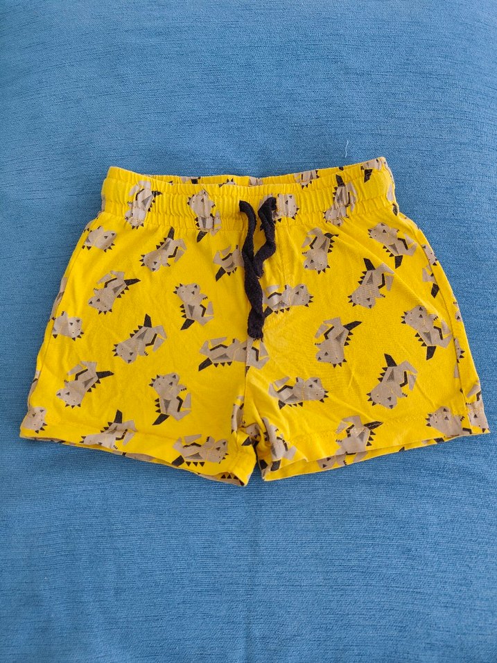 Erkek Şort - Görsel 2