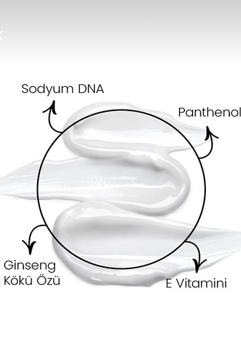 Santelive Somon DNA Gençleştirici Krem 50 ml - Görsel 3