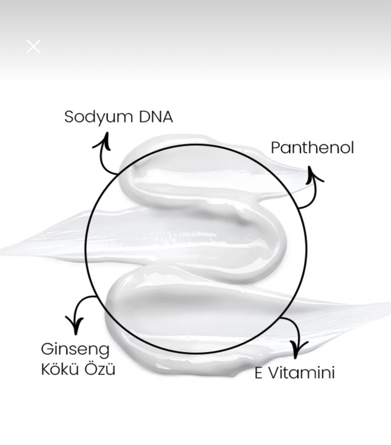 Santelive Somon DNA Gençleştirici Krem 50 ml - Görsel 3