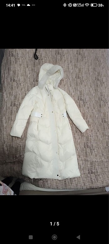 Pierre Cardin Mont