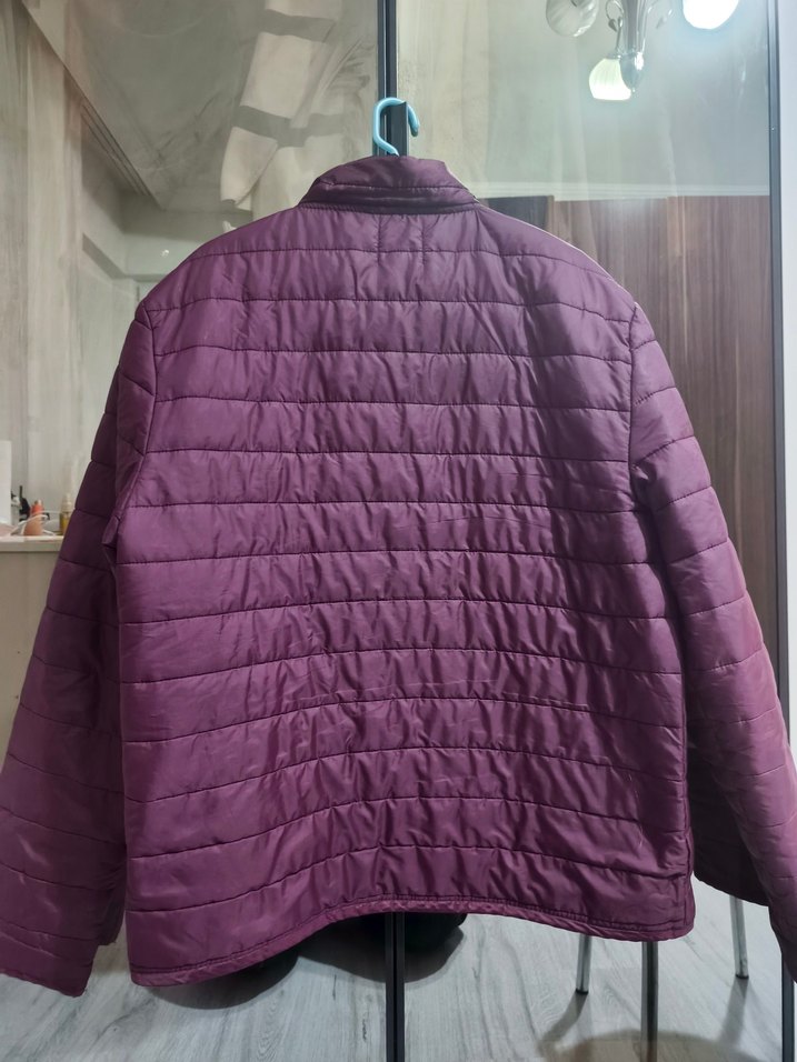 Erkek Mevsimlik Mont - Görsel 2