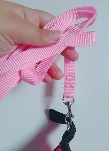 Pembe ya da mavi hava geçirgen göğüs tasmasi