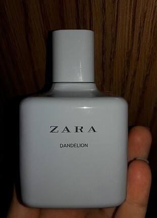Zara Dandelion Parfüm Zara Parfüm %20 İndirimli - Gardrops