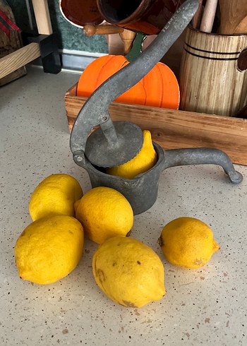 Gri Metal Limon Sıkacağı