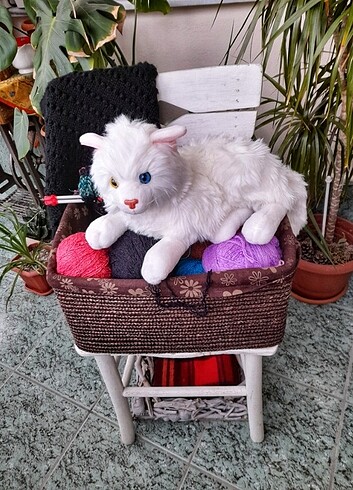 #Fişler price oyuncak kedi
