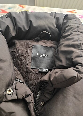 m Beden Pull & Bear kadın mont