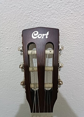 Elektro gitar 