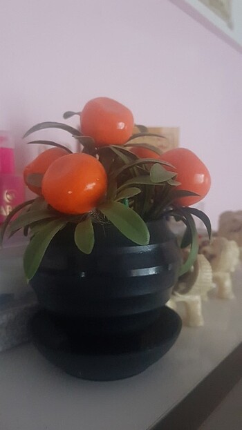 Portakal çiçeği 