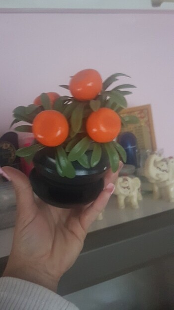 Diğer Portakal çiçeği 