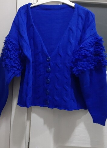 Saks mavi hirka - Görsel 2