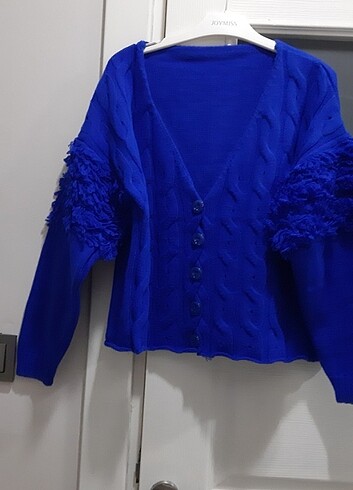 Saks mavi hirka - Görsel 3