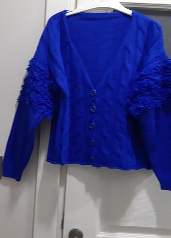 Saks mavi hirka - Görsel 5