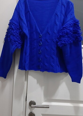 Saks mavi hirka - Görsel 6