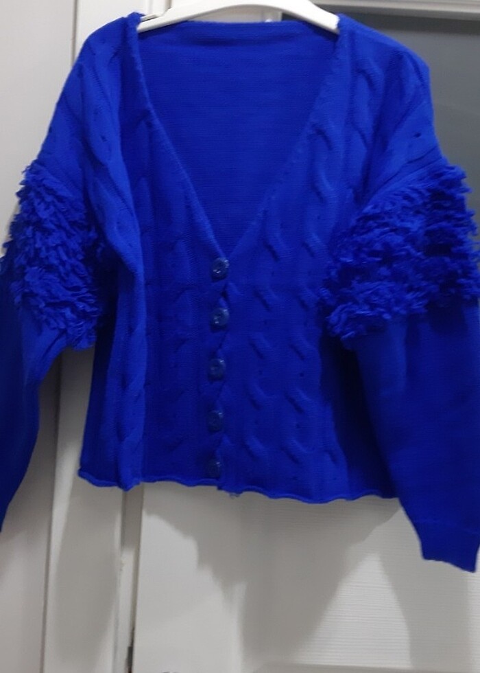 Saks mavi hirka - Görsel 2