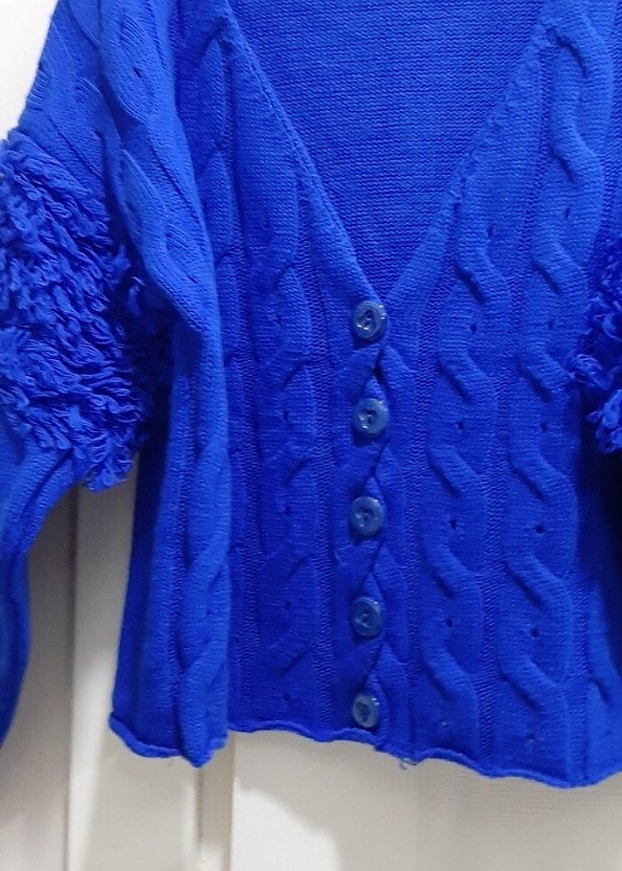 Saks mavi hirka - Görsel 4