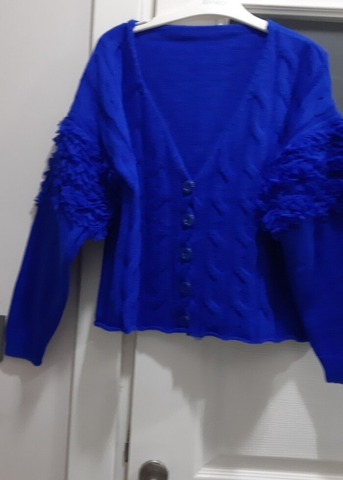 Saks mavi hirka - Görsel 5