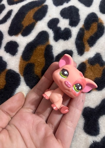 Lps miniş