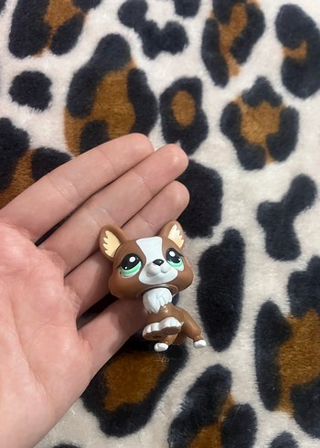 Lps miniş
