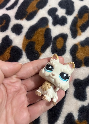 Lps miniş