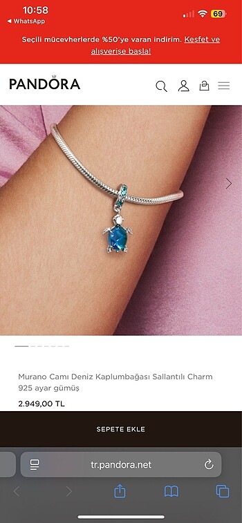 Pandora Pandora Bileklik Ve Charm 16cm