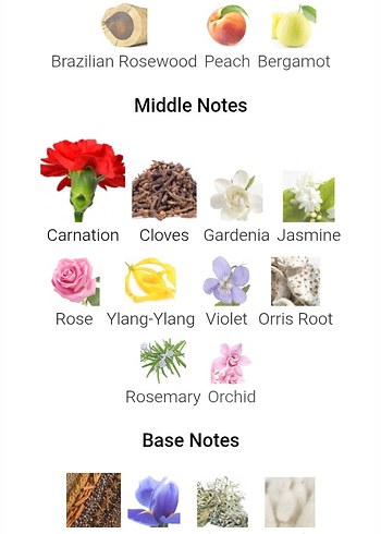 Nina Ricci L'air du Temps vintage parfüm - Görsel 5