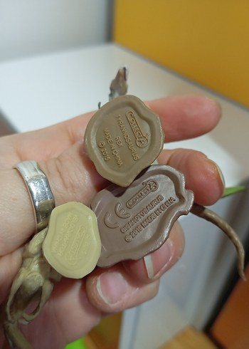 Collecta 3 mini dinozor - Görsel 3