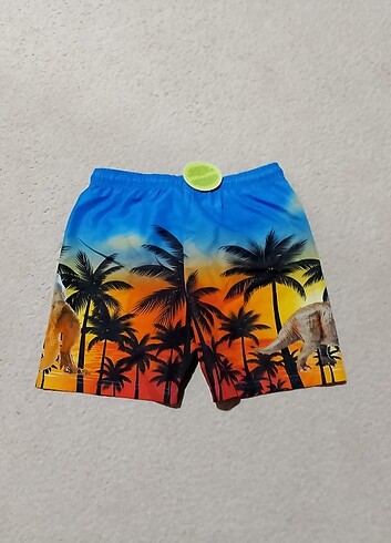 LC Waikiki 11-12 yaş Dinozoru mayo