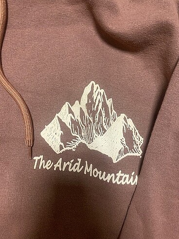 Diğer sweatshirt