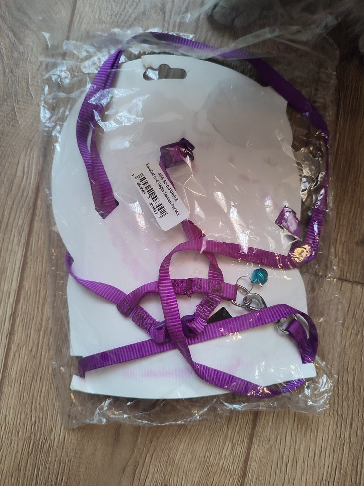 Mor Kedi Tasması Seti - Görsel 2