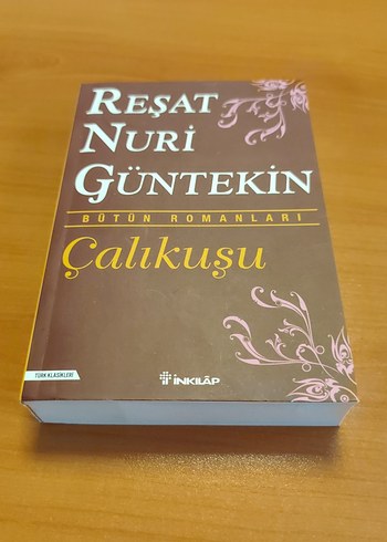 Çalıkuşu - Reşat Nuri Güntekin Bütün Romanları - Görsel 2