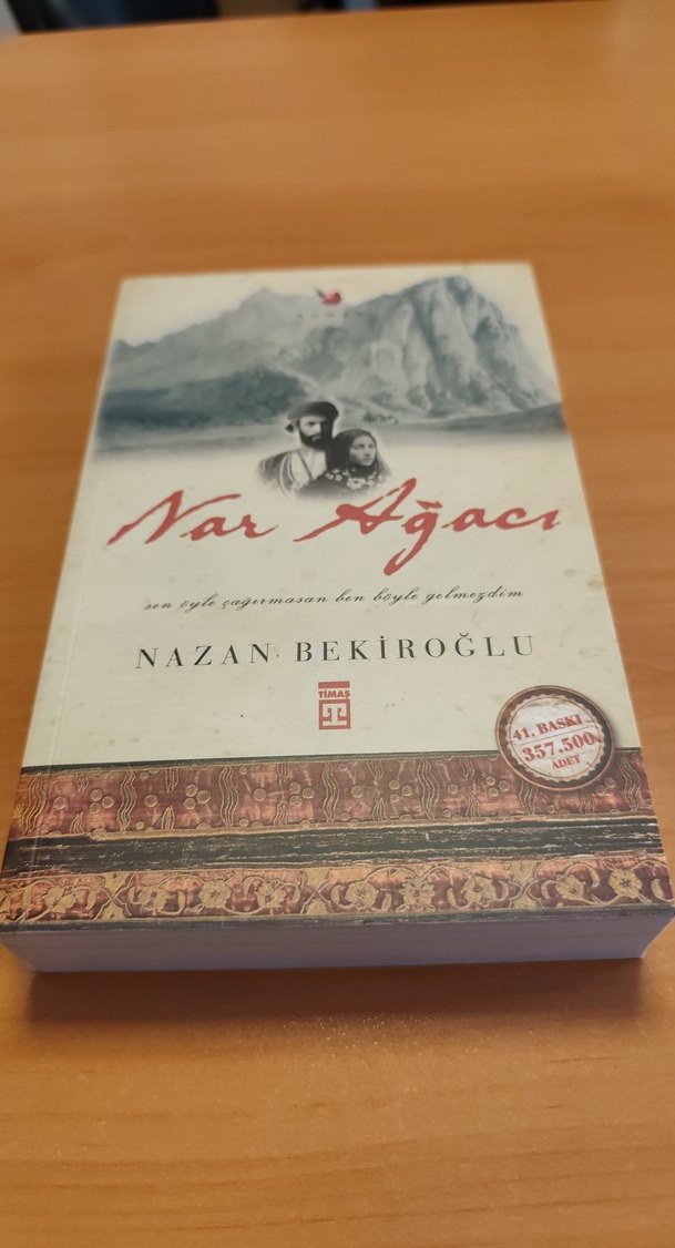Nar Ağacı - Nazan Bekiroğlu - Görsel 2
