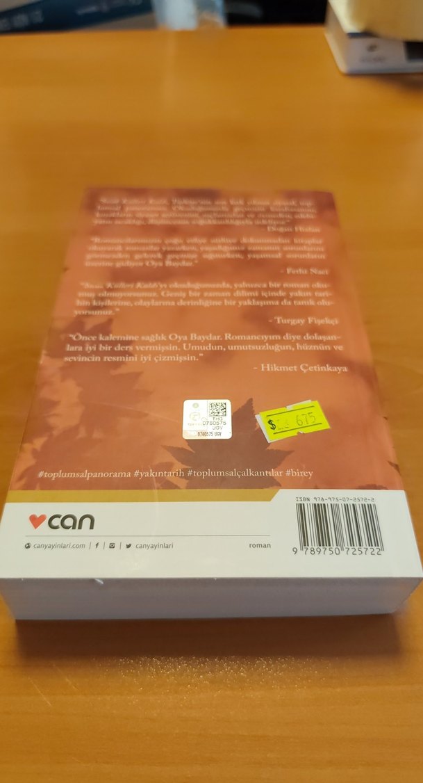 Sıcak Külleri Kaldı - Oya Baydar - Görsel 3