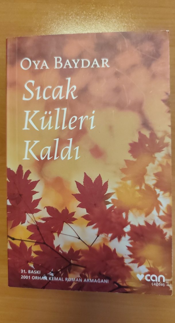 Sıcak Külleri Kaldı - Oya Baydar - Görsel 2