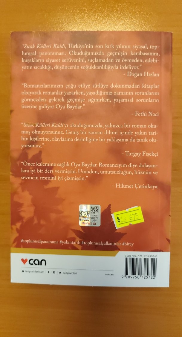 Sıcak Külleri Kaldı - Oya Baydar - Görsel 4