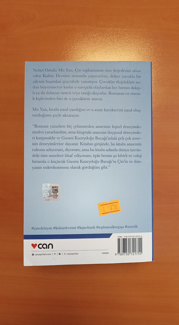 İri Memeler ve Geniş Kalçalar - Mo Yan - Görsel 3