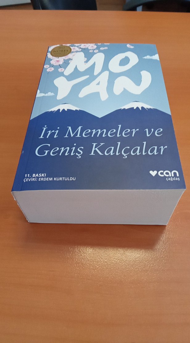 İri Memeler ve Geniş Kalçalar - Mo Yan - Görsel 2