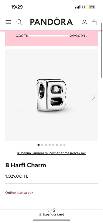 pandora b charm