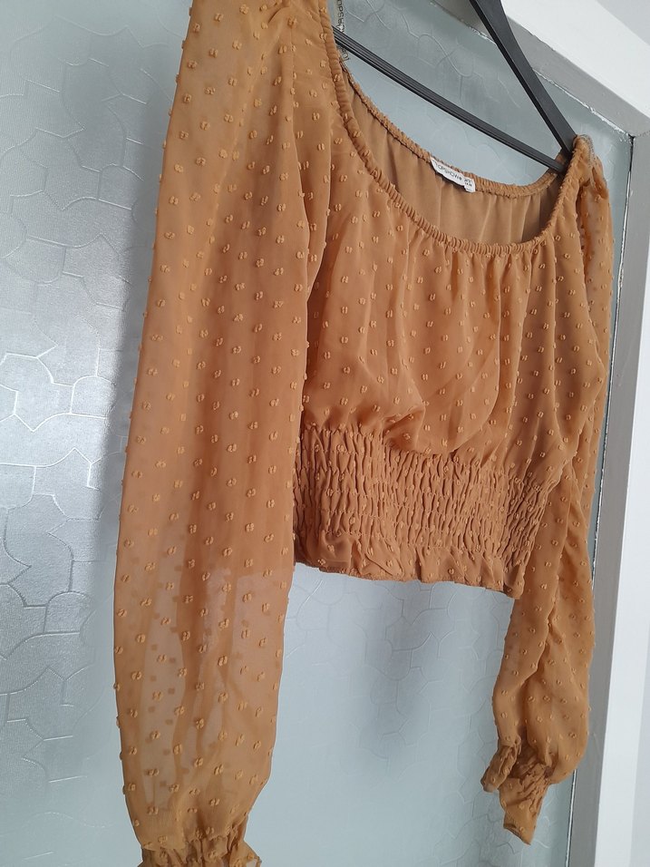 Bej Uzun Kollu Mini şifon Bluz - Görsel 3
