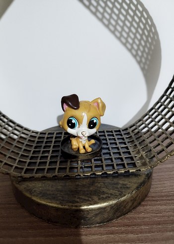 köpek miniş