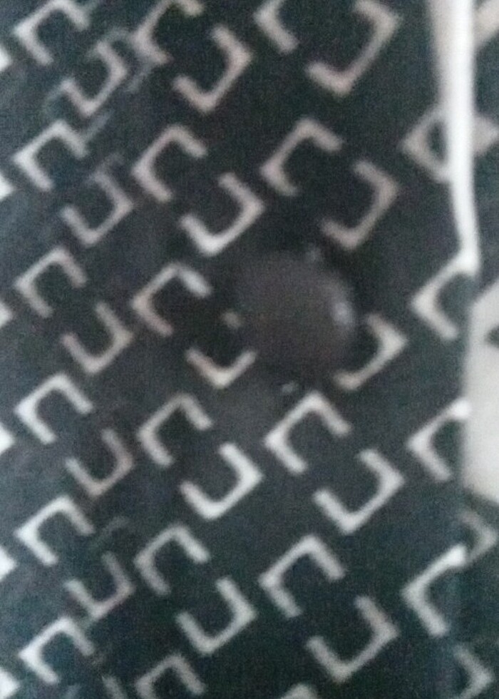 Bayan şifon gömlek - Görsel 5