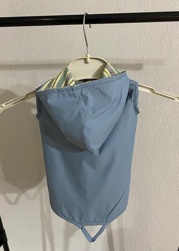 Düğmeli Mavi Sokak Stili Köpek Kıyafeti - Görsel 3