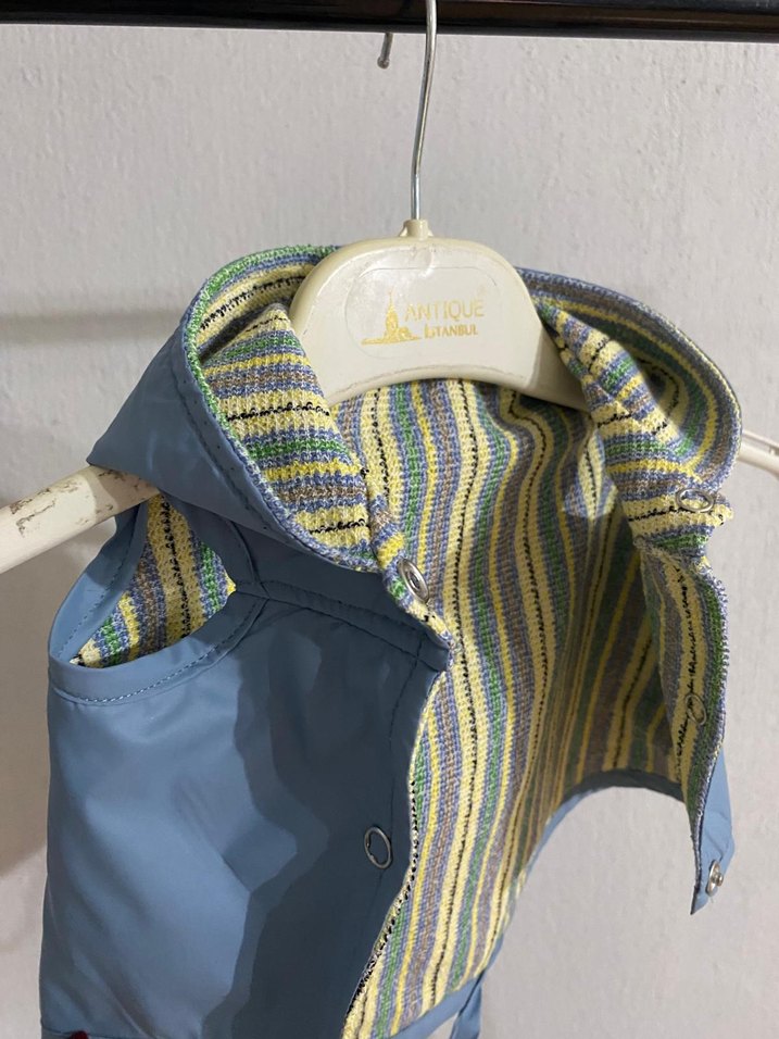 Düğmeli Mavi Sokak Stili Köpek Kıyafeti - Görsel 2