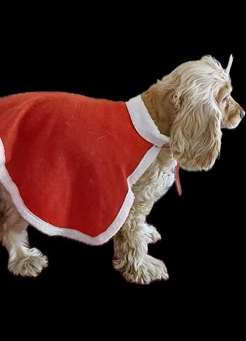 Köpek pelerini - Görsel 2