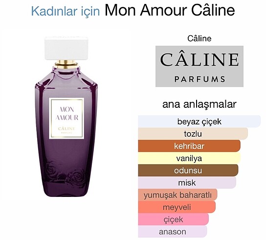  Beden Renk Bayan parfüm
