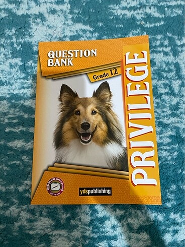 Yds publishing privilege question bank grade 12