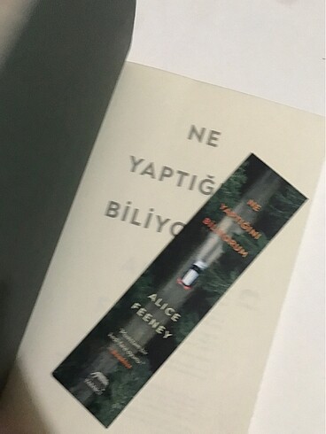  Beden Renk NE YAPTIĞINI BİLİYORUM