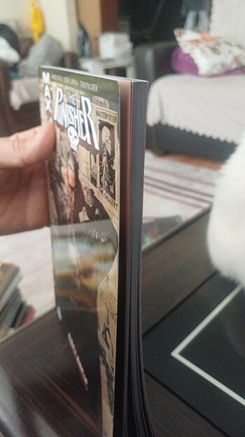 Beden Renk THE PUNISHER BAŞLANGIÇ