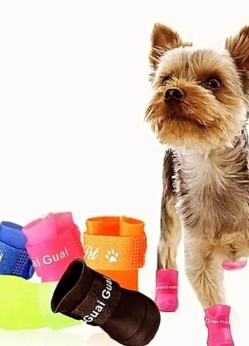 Pembe L beden köpek ayakkabısı