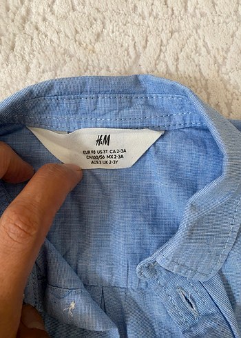 Erkek Çocuk Kısa Kollu Gömlek - Görsel 3